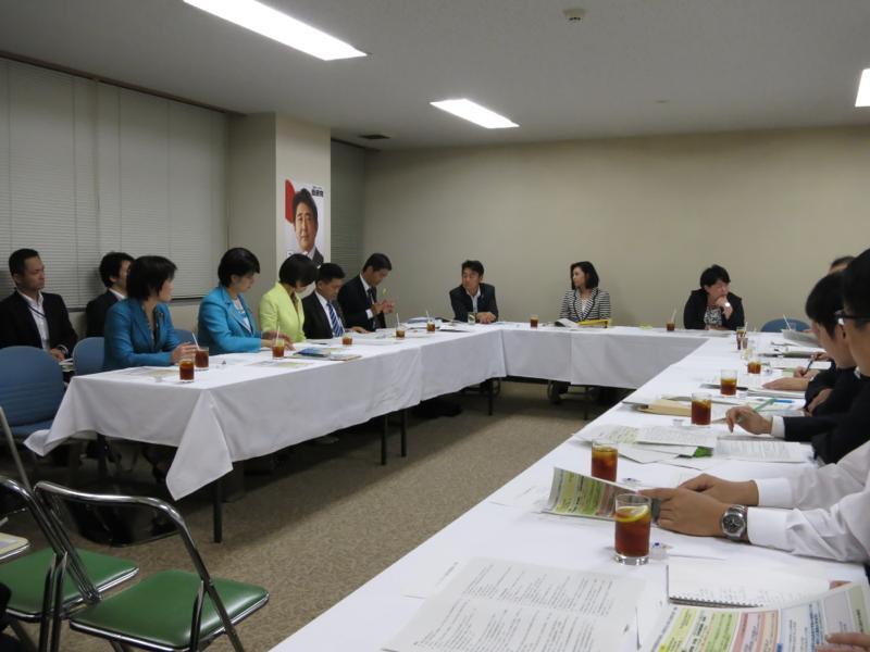 女性局によるリベンジポルノ対策法案勉強会