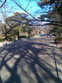夙川の清掃